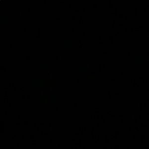 Meet your Posher, Brady